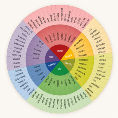Roues des émotions en français montrant les émotions de base (Colère, Dégoût, Joie, Tristesse, Peur, Surprise) et leurs nuances par couleur, utilisée comme guide émotionnel visuel.